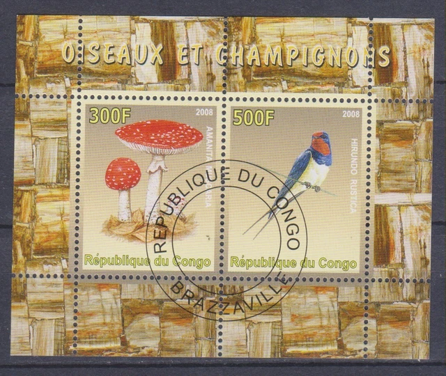 Courrier du Monde: Maxicard Faune de Russie : oiseaux chanteurs