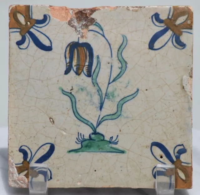 ANTIQUE DELFT BLUE WHITE 17th CENTURY DUTCH HOLLAND TILE FLORAL TULIP POLYCHROME