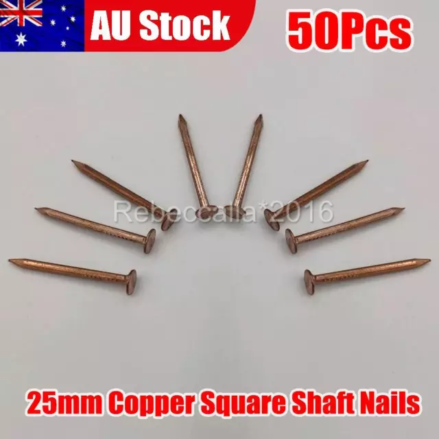 50pcs 25mm Copper Square Shaft Nails Timber Boats/Tree Stump Killer
