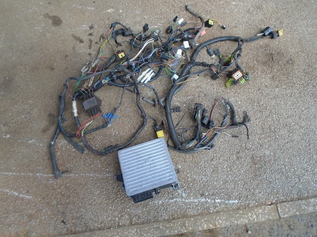 CLASSIC MINI COOPER S Genuine Rover Spi Wiring Loom Complete With Ecu