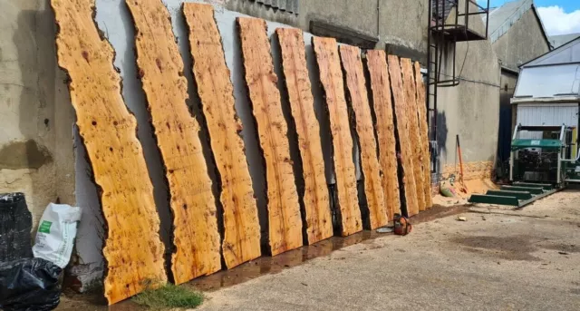 Apple,Cherry,Walnut,Oak Burr,Pippy Live Edge Plank,Slab Shelf,Epoxy River Table