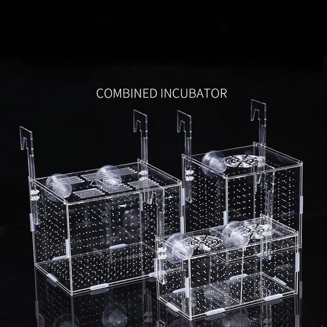 Fish Tank Aquarium - Acrylic Small Fish Isolation Net Tropical Fish Breeding Box
