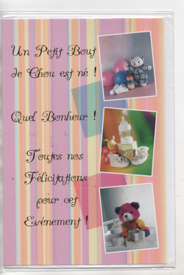 Carte Naissance Une Fille Sinceres Felicitations Ours Et Chaussons 13x17 Cm Eur 3 50 Picclick Fr