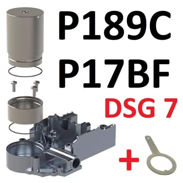 Schnell Reparatursatz + Werkzeug P189C P17BF Getriebe DSG 7 0AM DQ200 VW AUDI