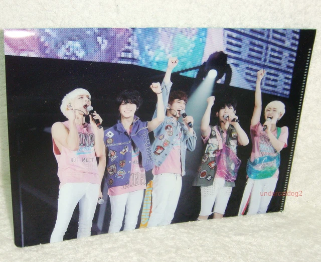 JAPAN ARENA TOUR Shinee World 2013-Boys Meet U- (DVD) Shinee