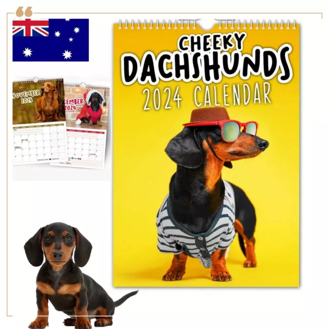 Crusoe The Dachshund Calendar 2025 Olympics shirl mariette