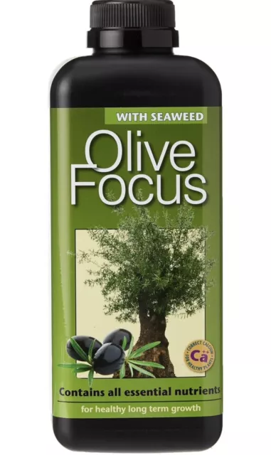 Growth Technology Olive Focus Olive Plant Liquid Feed Food Fertiliser Purpose 1L