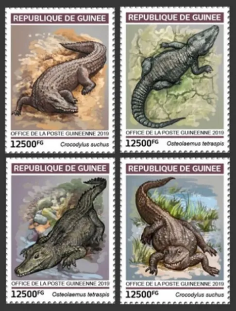 Guinea - 2019 Crocodiles auf Briefmarken - 4 Briefmarke Set - GU190104a