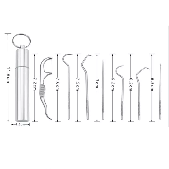 AU Stainless Steel Toothpick Set Metal Flossing Portable Toothpick Box Holder 3