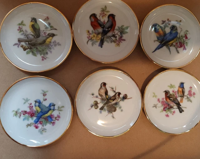 Vintage Bareuther Waldsassen Bavaria Germany - Set Of 6 Bird Plates Coasters 3.5