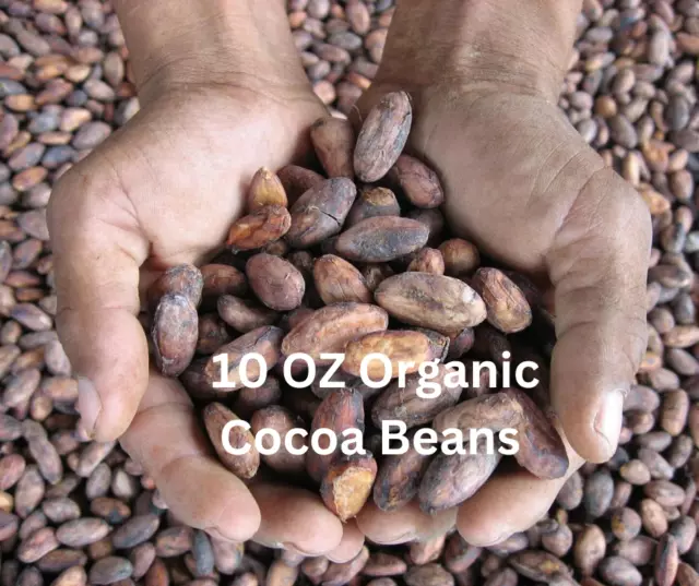 10 OZ Fèves de cacao biologiques Graines de cacao noir Paquet entier Pure...