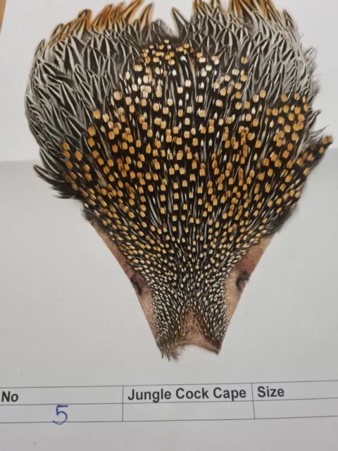 Jungle Cock Cape