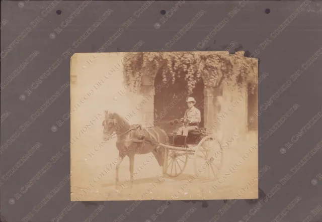 1890c Ragazzo alla guida di un calesse cavallo Fotografia albumina