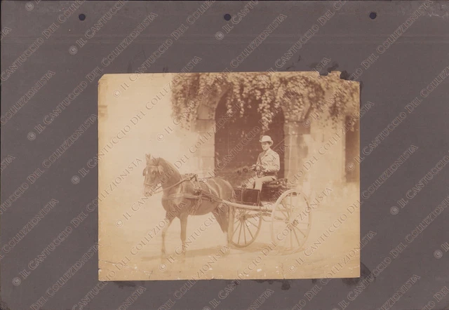 1890c Ragazzo alla guida di un calesse cavallo Fotografia albumina