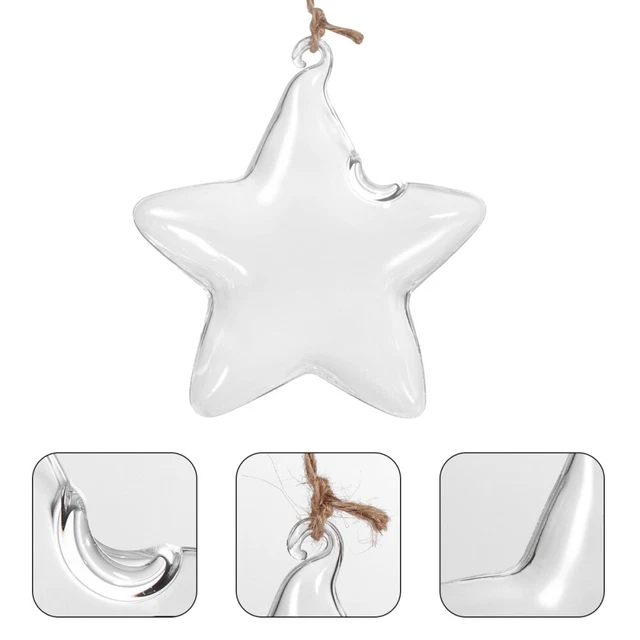 Hanging Starfish Vase Glass Garden Terrarium Water Air Plant Containers
