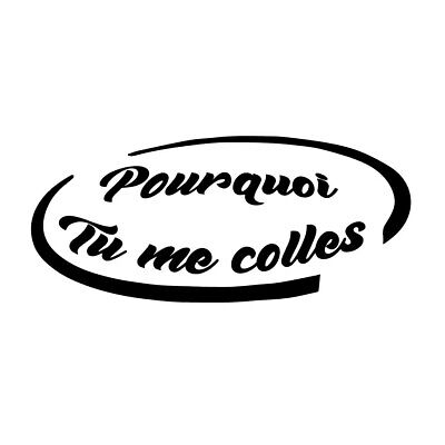sticker autocollant HUMOUR citation phrase swag paye le credit de ta voiture 