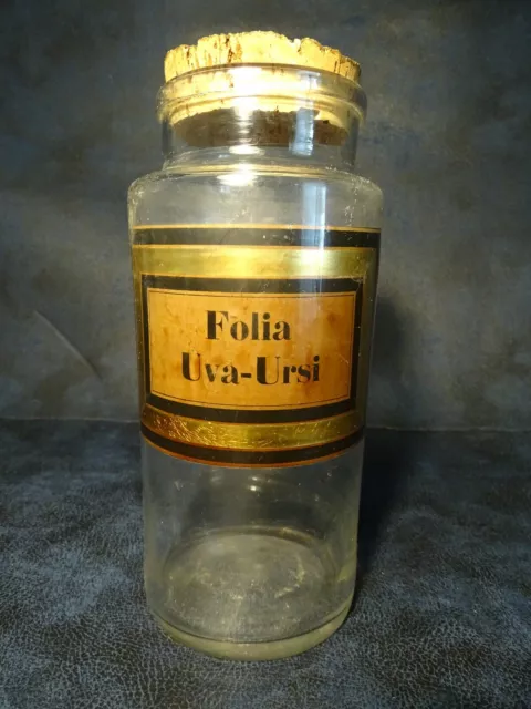 rare ancien pot flacon bocal apothicaire pharmacie Folia Uva-Ursi curiosité