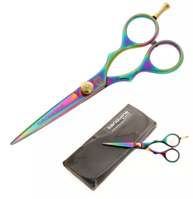 Professional Hair Scissors Hairdressing Scissors Barber Shears, Salon SET + Case
