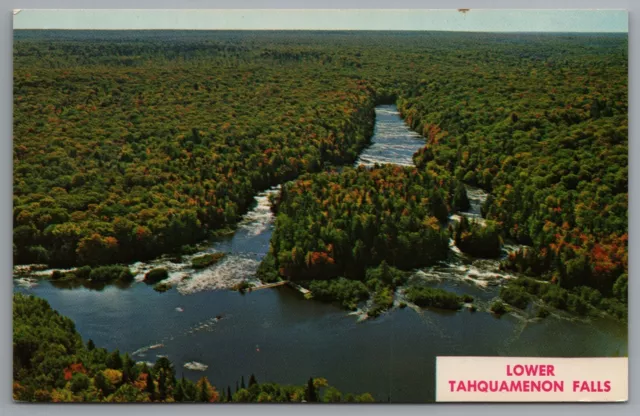Michigan Lower Tahquamenon Falls Island Aerial View Postcard Map on Back