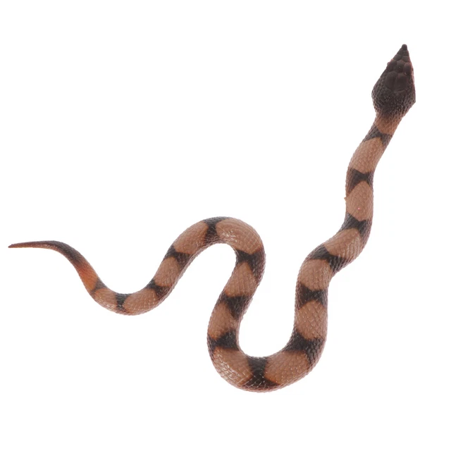 Niño Modelo Serpiente Adornos Falsa Serpiente Mordaza Juguete Suave