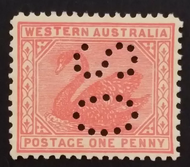 ACSC W13Ab - 1905 W.A Punctured OS Rose-Red 1d Swan Stamp VF MNH - 42a