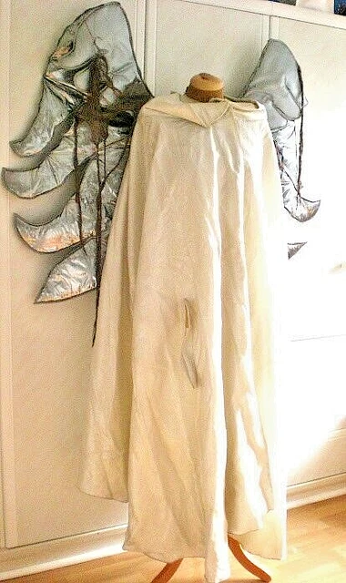 Royal opera house London costume cape The Damnation of Faust Angel wings 3