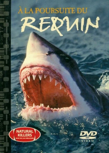3048627 - A la poursuite du requin