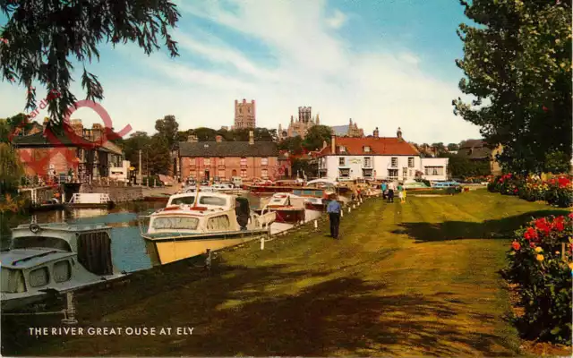 Picture Postcard:;Ely, the River Great Ouse [Salmon]