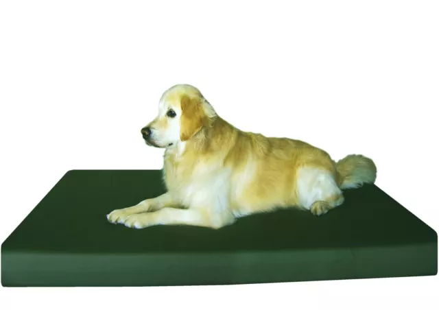 Jumbo Green Canvas Pet Dog Bed Orthopedic Waterproof Large Memory Foam 55x47x4