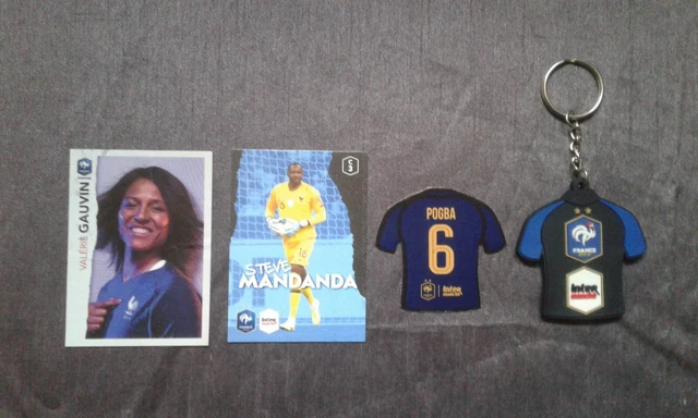 Magnet relief Rod Fanni - Équipe de France de football 2010 - Carrefour