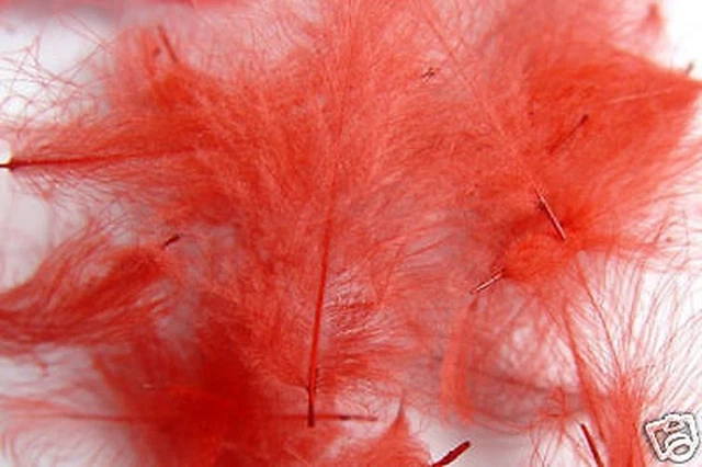 Plumes CDC Gris Clair Pechetruite - 1g Pour Montage De Mouches De Pêche - Naturel Et Traité