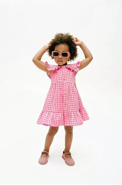 Zara Baby Girl Pink Gingham Textured Dress 9-12 Months BNWT