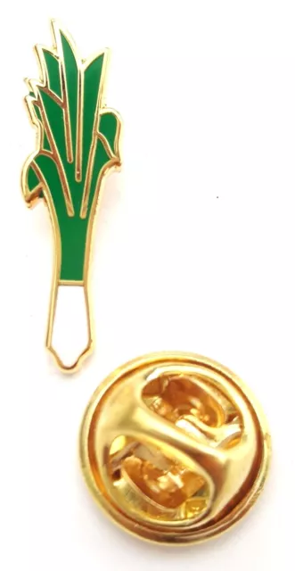 Wales National Symbol Small Enamel Lapel Pin Badge T326
