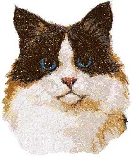 Embroidered Sweatshirt - Ragdoll Cat AED16041 Sizes S - XXL