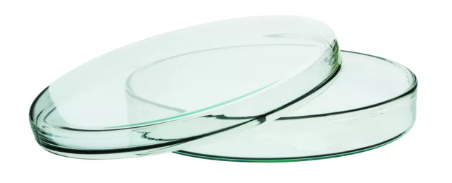 6.5" Petri Dish - Premium Borosilicate Glass - .75" Depth - Eisco Labs