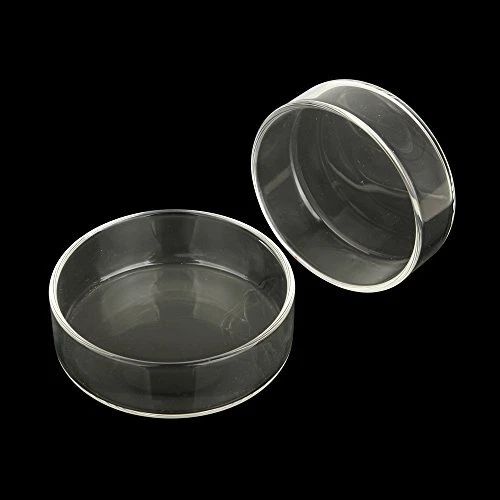 Senzeal 2X Aquarium Glass Shrimp Feeding Dish Fish Tank Shrimp Feeder Round W...