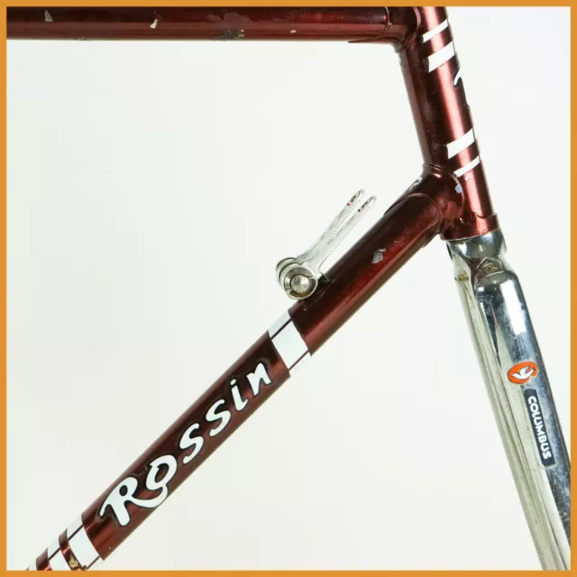 Rossin Laser Time Trial Vintage Frame Set Road Bike 55 Columbus Campagnolo Steel