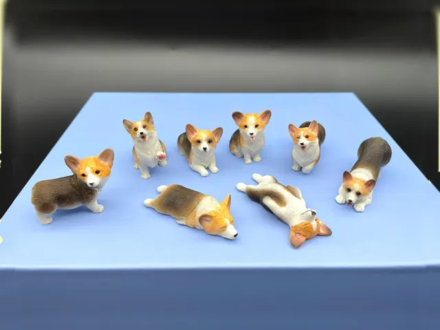 Miniature Corgis. Tri-colored  Corgi Dog / Puppy. 1:12 Scale Model