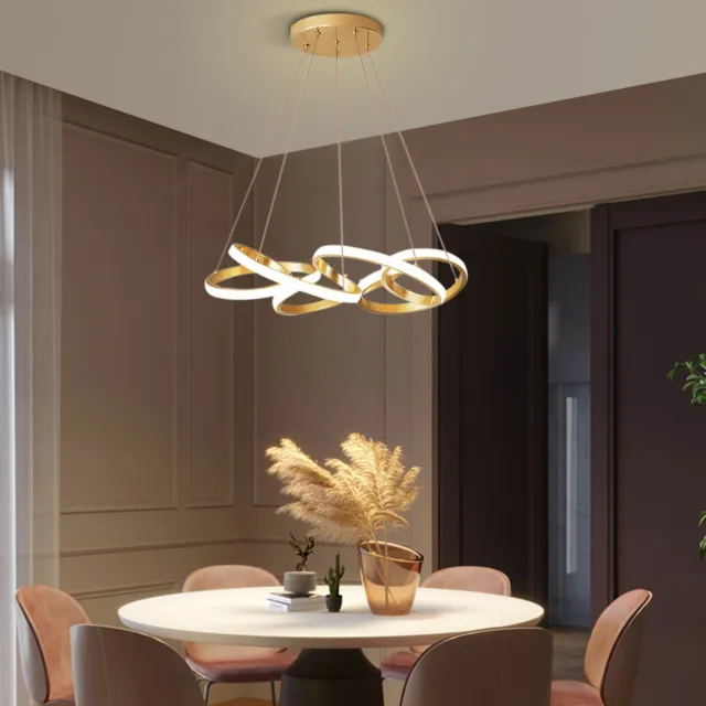 LED Hanging Light Living Room Circle Ring Pendant Lamp Modern Chandelier 25*39''