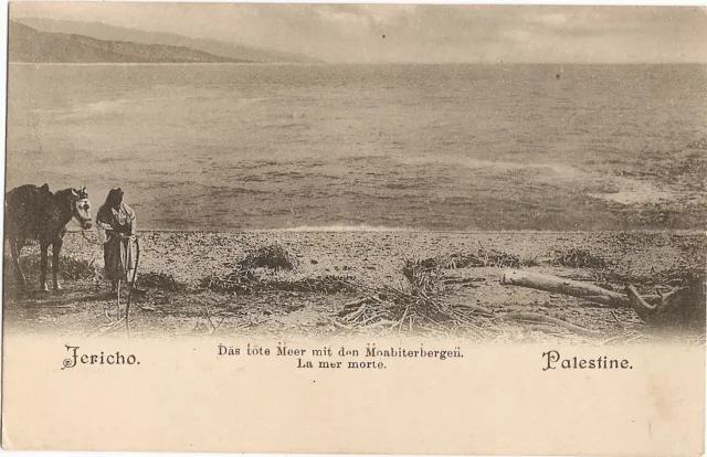 Jericho, Totes Meer, Palästina, Westjordanland, Palestine, West Bank,  ca. 1905