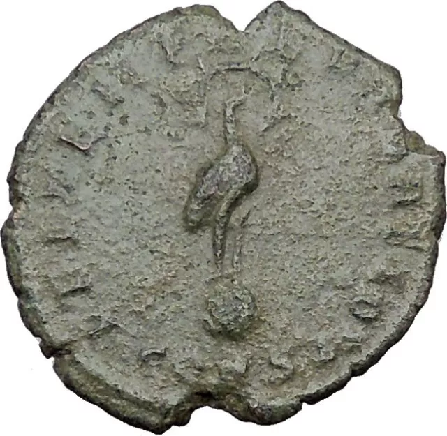 CONSTANTIUS II Constantine the Great  son Ancient Roman Coin Phoenix  i32231