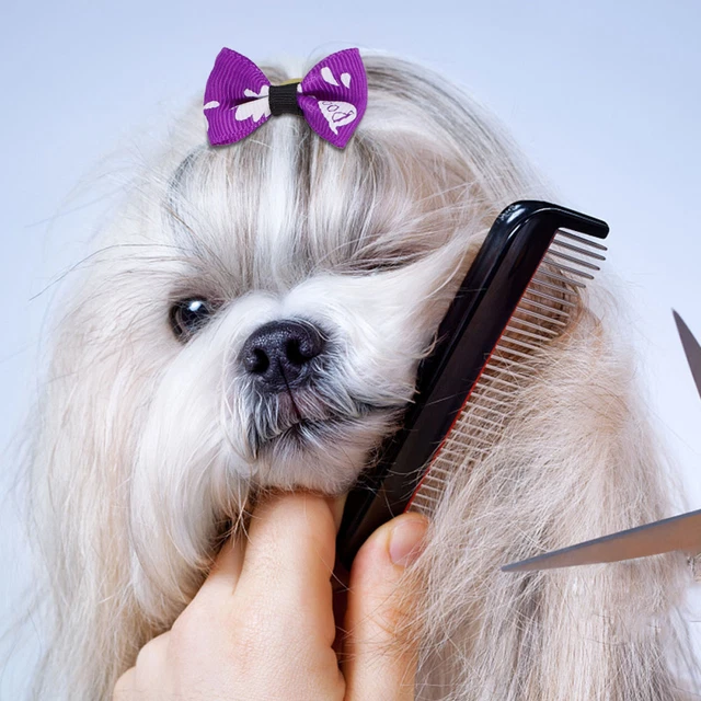 16 piezas Cuerda para el pelo de Halloween moño mascota adorable soporte para el cabello fiesta goma para el cabello