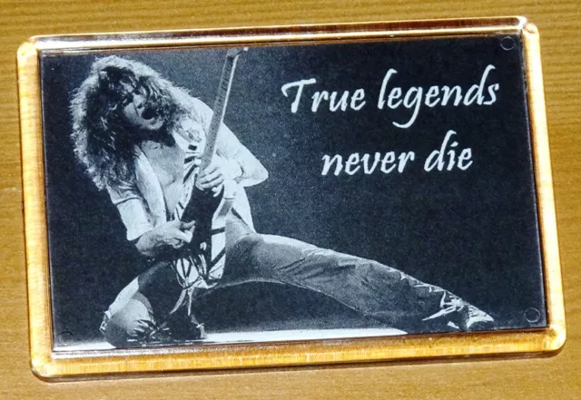 Eddie Van Halen True Legends Guitar Fridge Magnet