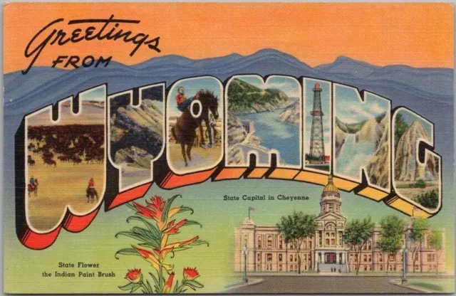 Vintage 1940s WYOMING Large Letter Postcard State Capitol Flower - Tichnor Linen