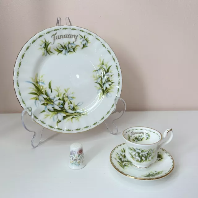 Royal Albert Flower of the Month January Bone China Miniature Cup Saucer Set