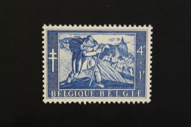 Briefmarke Belgien - Briefmarke Belgium Yvert Und Tellier N° 960 N (Cyn15)
