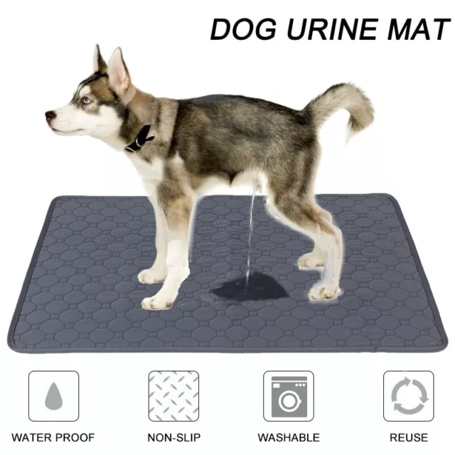 Pads Pee Dog Training Puppy Wee Underpads Pad Pet Housebreaking Reusable 100 Med