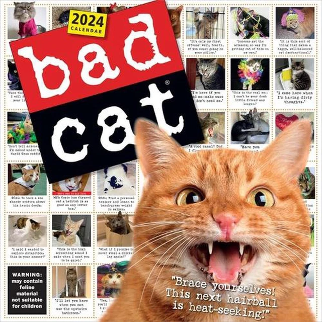 BAD CAT WALL Calendar 2024 Celebrating the Misfits of the Feline World