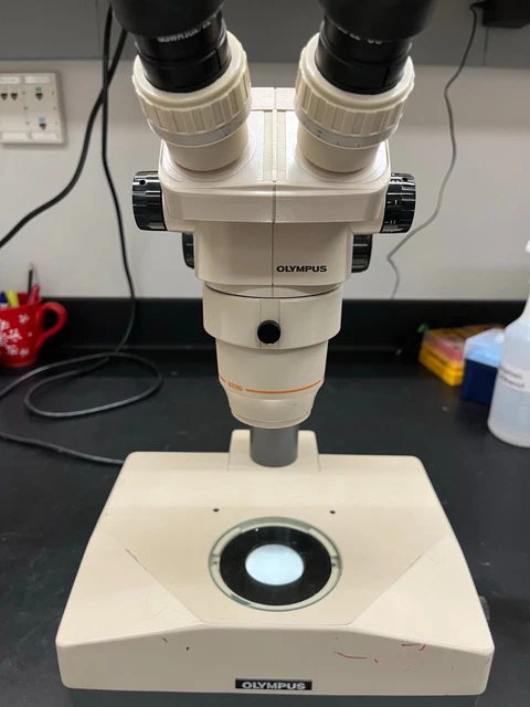 Olympus SZ60 SZH-ILLK Stereo Microscope Olympus SZ60 SZH-ILLK Stereo Microscope