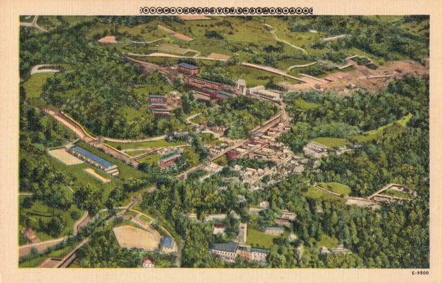 Postcard Sylva Aerial View Sylva North Carolina NC Linen